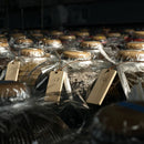 오키나와산 시콰사 매실주 500ml