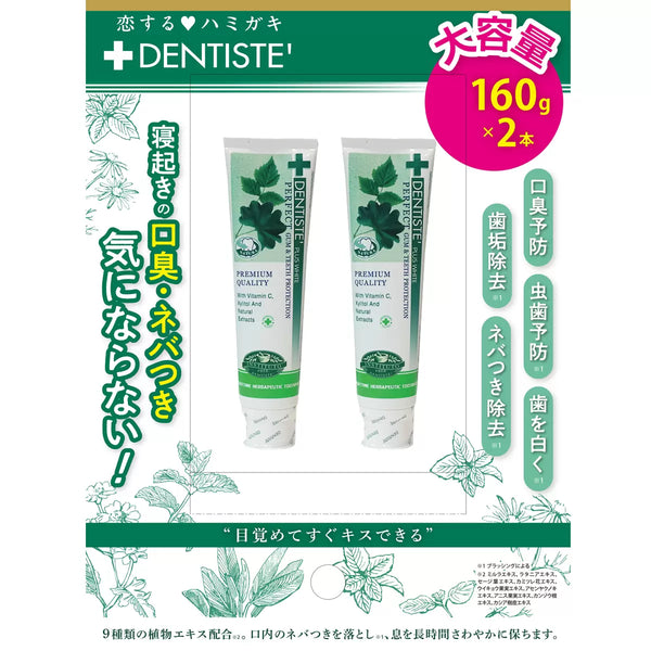 덴티스테 치약 튜브 타입 160g x 2개