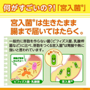 강 미야리산 1000정