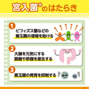 강 미야리산 1000정