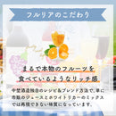 나카노주조 후루리아 배 과실주 720ml