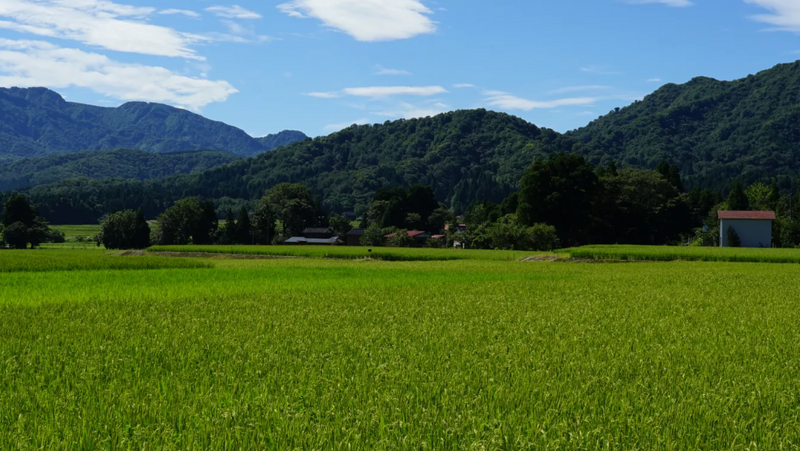 [세금 포함] 아베 플러스 Vol.2 720ml