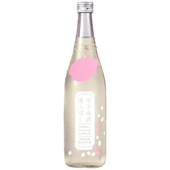 키노에네 하루자케 칸바시 준마이다이긴죠 나마 720ml *마지막 수량 처분